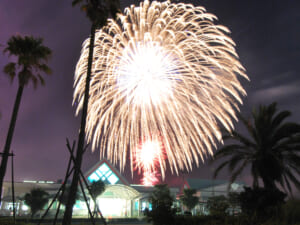2012年（第12回） - かごしま錦江湾サマーナイト大花火大会